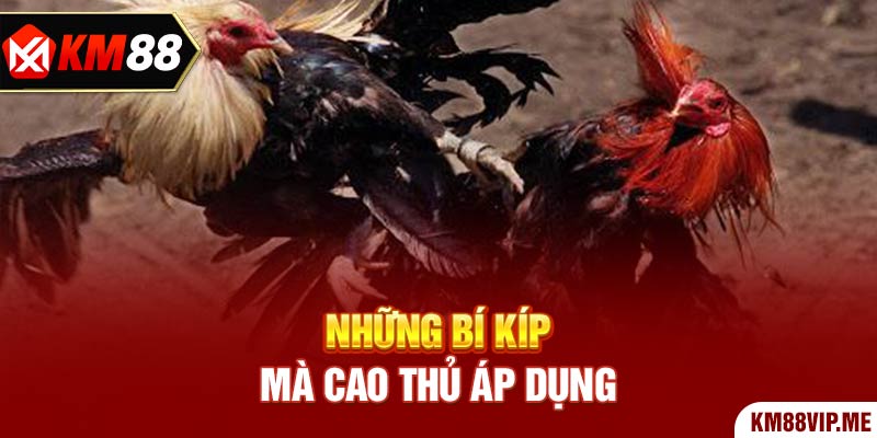 Những bí kíp mà cao thủ áp dụng 