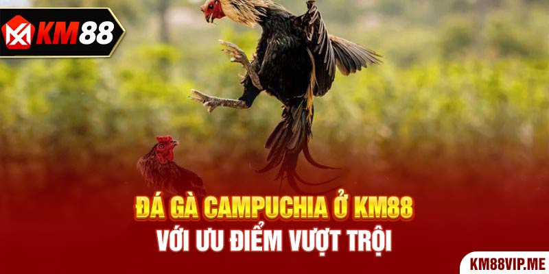 Đá Gà Campuchia ở KM88 với ưu điểm vượt trội 