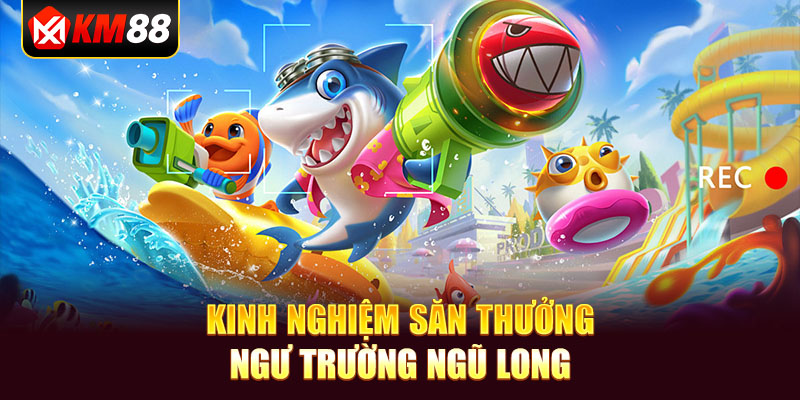 Kinh nghiệm săn thưởng ngư trường Ngũ Long