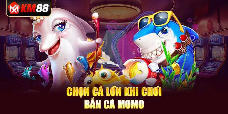 Chọn Cá Lớn Khi Chơi Bắn Cá Momo