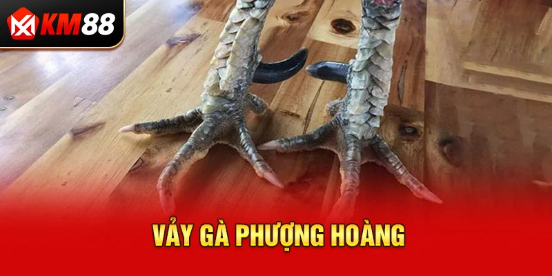 Vảy Gà Phượng Hoàng