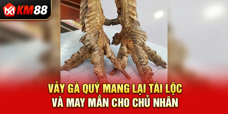 Vảy gà quý mang lại tài lộc và may mắn cho chủ nhân.