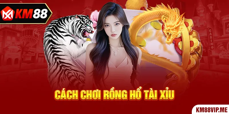 Cách Chơi Rồng Hổ Tài Xỉu